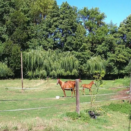 Flat With Shared Pool In The Countryside, *