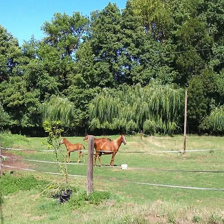 Flat With Shared Pool In The Countryside, * Retournac